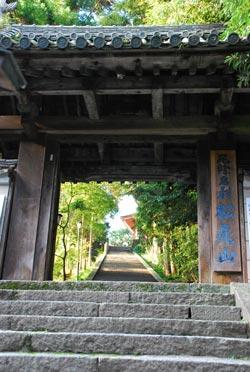 緑が生い茂っている松尾寺の門構えの様子の写真