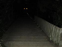 暗く静まり返っている下りの坂道の様子の写真