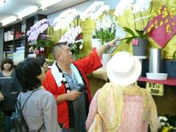 ランの花の展示を説明するスタッフの方と見学する2人の方々の写真