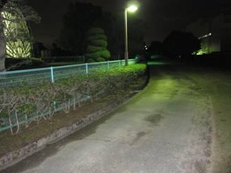 左側に公園、柵を超えて右側に中心に1本のライトで前の道路が照らされてる写真