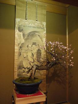 掛け軸の前に飾られた花を咲かせた梅の盆栽の写真