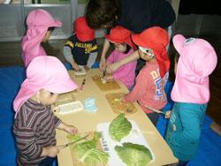 野菜を切っている子供たちの写真