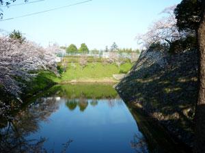 お濠の水面に鮮やかに映し出される桜や芝生や青空の写真