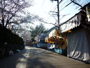 桜と通り沿いに並ぶまだ開いていない露店の写真