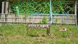 矢田町にある空き地に飾られた「タケトピア『矢田の里』」と書かれた看板の写真