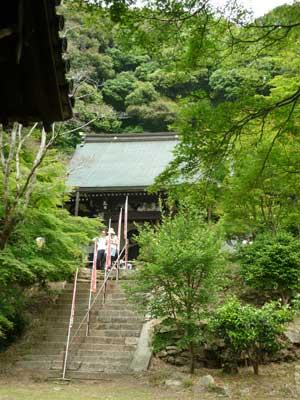 新緑の木々に囲まれる東明寺石段の写真