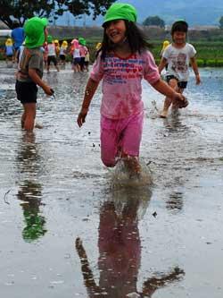 水田の中を走っているピンクの服を着た女児の写真