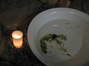 左にカップのオレンジの小さな電灯、右に小さい魚が入った白い平たいお皿が置いてある写真