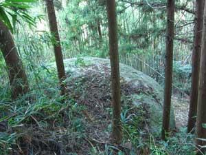 木立の間から一部緑に苔むした大岩の上を覗き下ろしている様子の写真