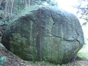 林の中に鎮座する大きく迫力のある一部緑に苔むした大岩の写真