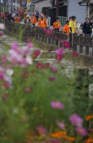 参加者たちがウォーキングをしている手前にコスモスが咲いている写真