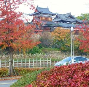 城をバックに紅葉を撮った写真