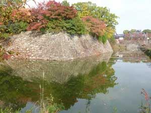 上の方が赤く紅葉し他は緑の葉になっている石垣と濠の写真