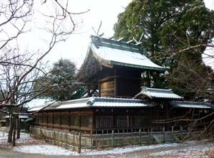 冬木を横にそびえたつ柳澤神社本殿の写真