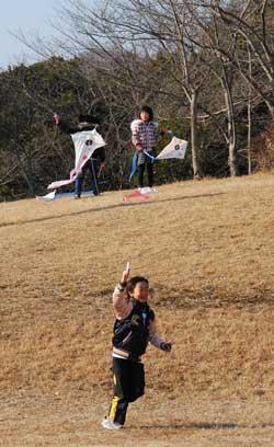男の子が凧揚げをしている後ろで、女の子たちが凧揚げしている写真