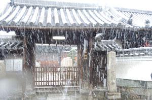 大雪が降っている中のお寺の写真