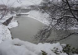 雪が積もった木と凍っている池の写真