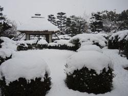 庭園に沢山の雪が積っている写真