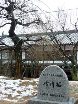 梅の木の花のまえにある記念碑の写真