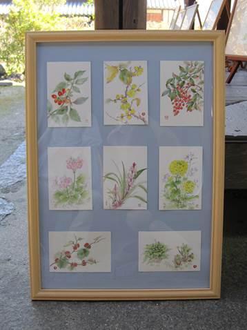 額装された植物の絵が描かれたポストカードの写真