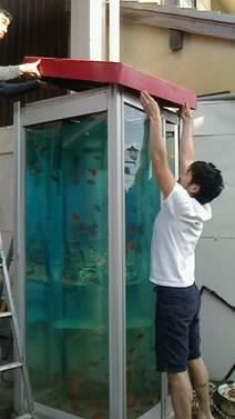 金魚の入った電話ボックスを修理する人々の写真