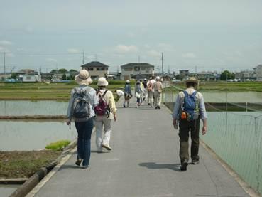 田んぼの付近を歩く人々の写真