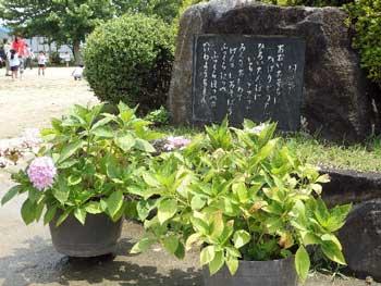 石碑の前に飾られたアジサイの植木の写真