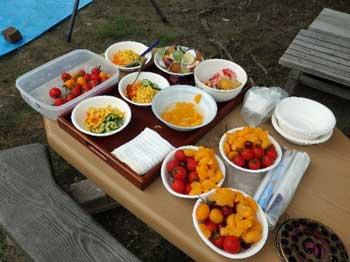 白いボールに盛られたトマト、キュウリ、みかん、トウモロコシの食材の写真