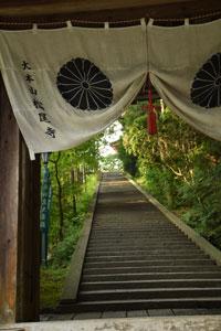 「大本山松尾寺」と書かれた白いのれん越しに、緑に囲まれ、木漏れ日が差し込む中、上へと続く石段の写真