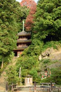 赤と緑の葉を持つ木々に囲まれて、崖を切り開くように設置された石段の上に立つ本堂の写真