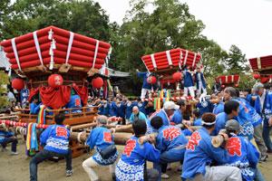 背中に「祭」と書かれた青い法被をきた大人数の人たちが、紅色の大きな神輿を中腰でおろしている様子の写真
