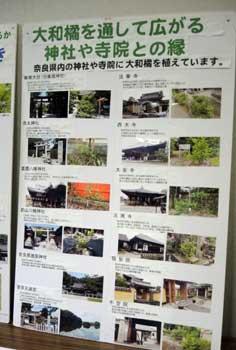 奈良県内の神社や寺院が紹介されている掲載物の写真