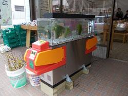 店頭から正面斜めに見た自動改札機型金魚水槽の写真