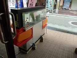 店内から道路側方向に見た自動改札機型の金魚水槽の写真