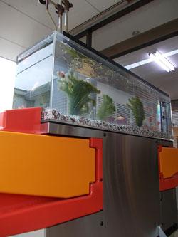 斜め下から見上げた自動改札機型の金魚水槽の写真