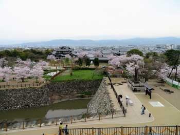 お濠を中心に城内と桜を写した写真