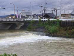 雨で水流が増え、茶色く濁っている川の写真
