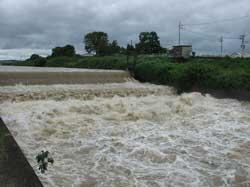 大雨で氾濫している富雄川の写真