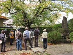 桜の木の下で、小泉城の歴史の話を聞く参加者たちの写真