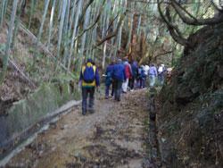 東明寺に向かう山道を歩くウォーキングの参加者たち写真