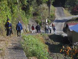 東明寺に向かう山道を下るウォーキング参加者たちの写真