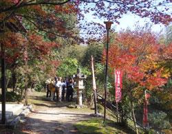 紅葉の下、石灯籠や赤色ののぼりが並んでいる小道の写真