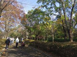 民族公園の並木道を歩く参加者たちの写真