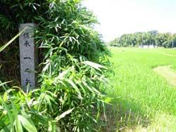 緑の草むらの中に、一の矢塚と書かれた石碑の写真