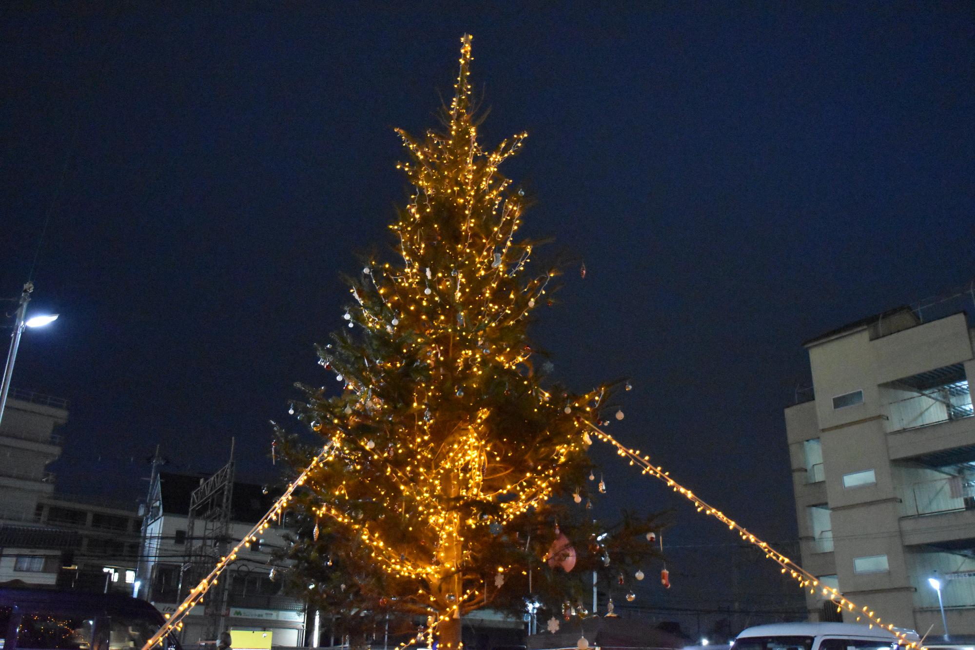 イルミネーションが輝くクリスマスツリー