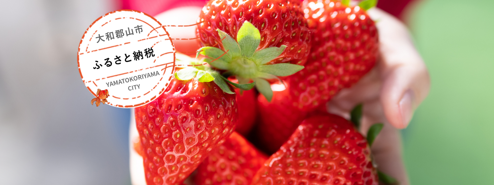 ふるさと納税