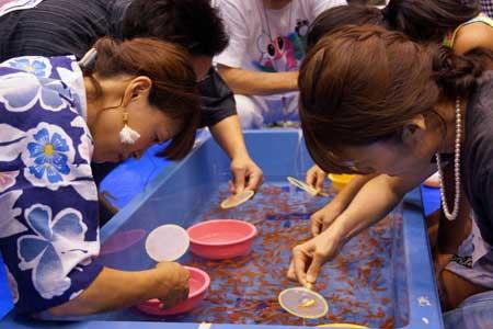 ピンク色と黄色の4つの小さな桶が浮かんでいる青い水槽の中を泳ぐ大量の金魚をすくいあげる金魚すくい大会参加者男女5人の写真
