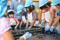 水色の帽子を被った幼稚園児たちが布を藍染している写真