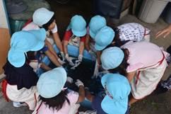 水色の帽子を被りピンク色のシャツを着た幼稚園児たちが屈んで作業している写真
