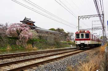 青空の下遠くに城と満開の花をつけたしだれ桜の木が脇にある線路を走行する白と赤のツートンカラーの電車の写真